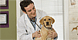 Berwick Animal Clinic logo
