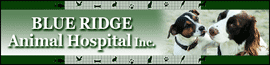 Blue Ridge Animal Hospital Inc logo