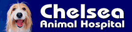 Chelsea Animal Hospital logo