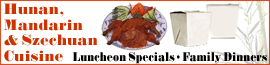 China Pavilion logo