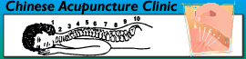 Chinese Acupuncture Clinic logo