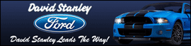 David Stanley Ford logo