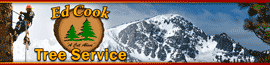 Ed Cook Tree & Crane Service logo
