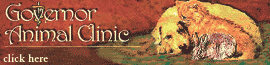 Governor Animal Clinic logo