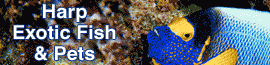 Harp Exotic Fish & Pets logo