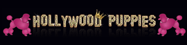 Hollywood Puppies logo