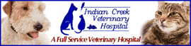 Indian Creek Veterinary Hospital logo