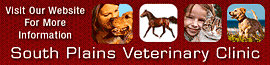 South Plains Veterinary Clinic logo