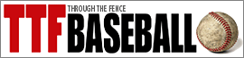 Through The Fence Baseball logo