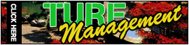 Hammocks Auto Tag Agency logo