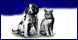 Avalonanimalcl_1478773_bm