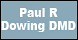 Downingpaulrdm_1760193_bb