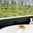 Mandarin Oriental New York