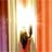 Hotel ICON