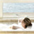 Tides South Beach
