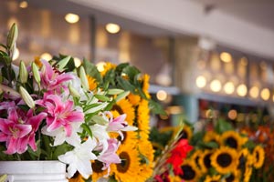 Coupons for Flowers for Mother's Day