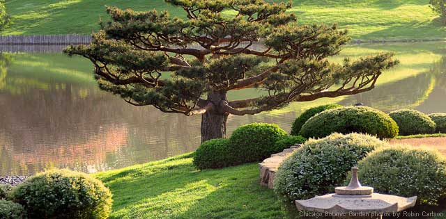 Chicago Botanic Garden, Japanese Gardens