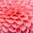 Chicago Botanic Garden