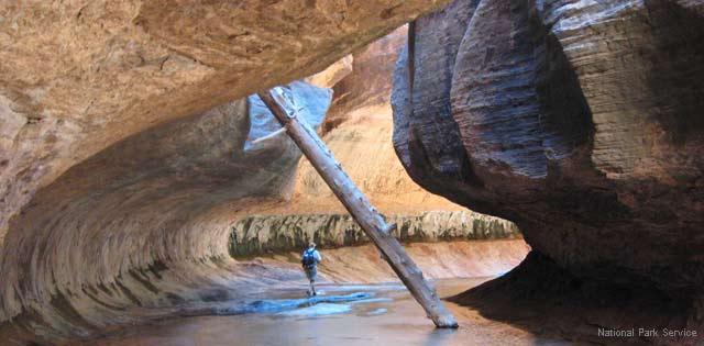 Zion National Park