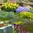 Betty Ford Alpine Gardens