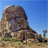 Joshua Tree