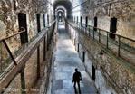 Ghost Tours