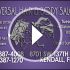 Bs123017816_70