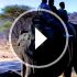 Sp148003028_70
