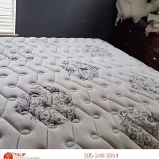 Tulip Cleaning Services - Fort Lauderdale, FL. Steam mattress cleaning