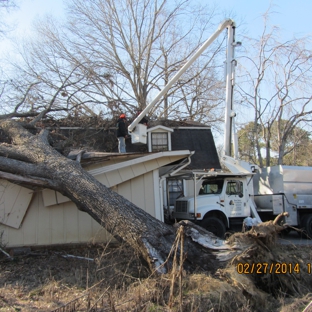 Ron Raby Tree Service