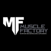 Muscle Factory gallery