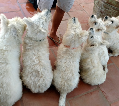 Middletown Veterinary Hospital - Middletown, DE. Treat Time!