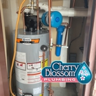 Cherry Blossom Plumbing