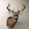 Rocky Acres Taxidermy gallery