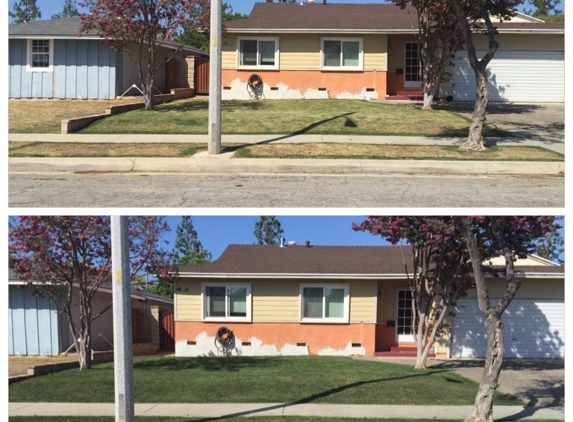 Elite Lawn Painting - La Mirada, CA