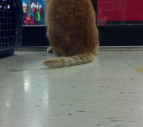 Petco - Sunset Valley, TX