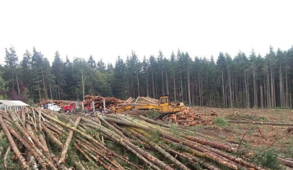 American Forest Lands Washington Logging Company - Maple Valley, WA