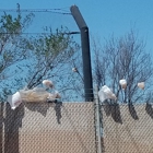 Republic Services Southeast (OKC) Landfill