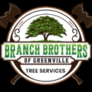 Branch Brothers of Greenville - Arborists