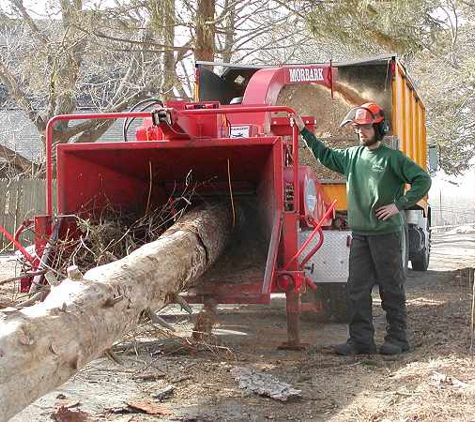 Troyer Tree Service - Sarasota, FL