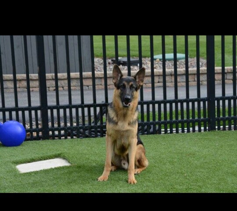 Kountry Pet Resort & Training Center - Hampshire, IL