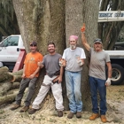 Joe's Tree Service