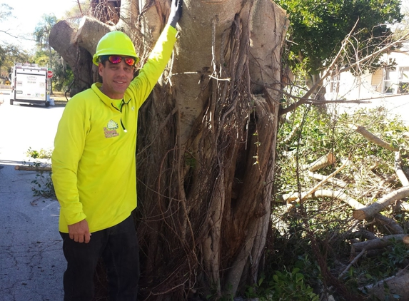 El Cheapo Tree Service - Saint Petersburg, FL