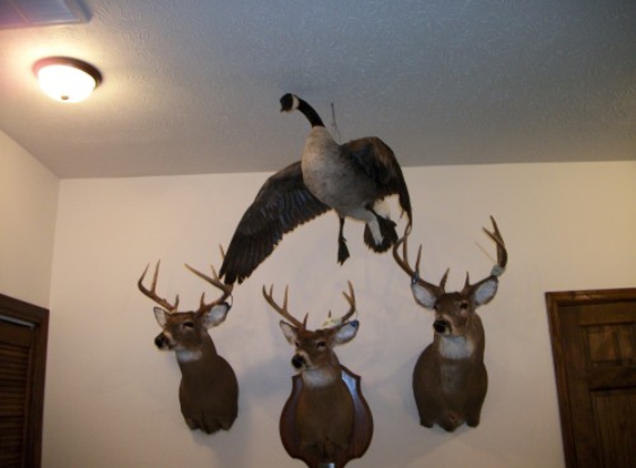 Pepper Ridge Taxidermy - Stanford, IL