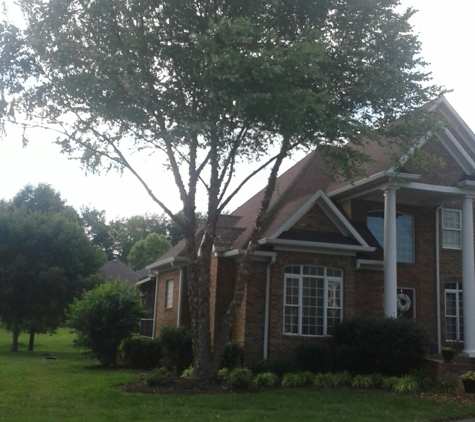 Johnathan Gill Tree Service - Bowling Green, KY