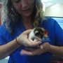 Heartwood Animal Hospital