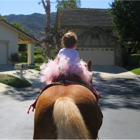 Lil' Red's Travelling Buckaroo Ranch - CLOSED