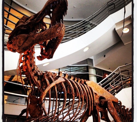 Uc Museum of Paleontology - Berkeley, CA