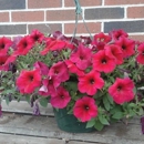 Hall's Farm & Feed - Farming Service