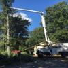 Bramlett's Tree Service gallery